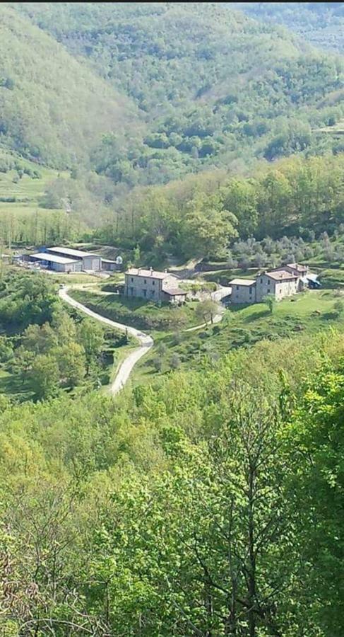 Le Chianine Dei Tognoli Villa Gragnola Eksteriør billede